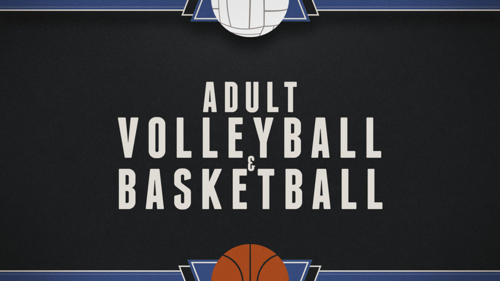 volleyball-basketball